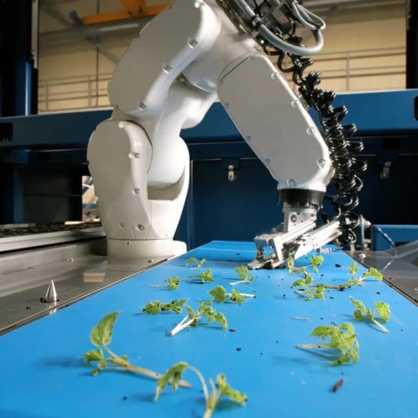 Tissue Culture Robotic Arm