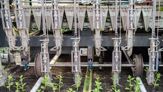 Tissue Culture Growth